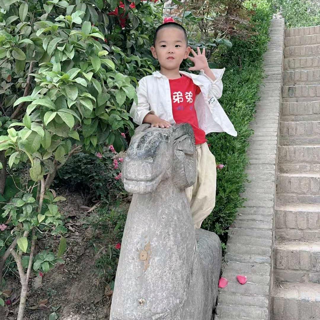 万丈红尘一杯茶