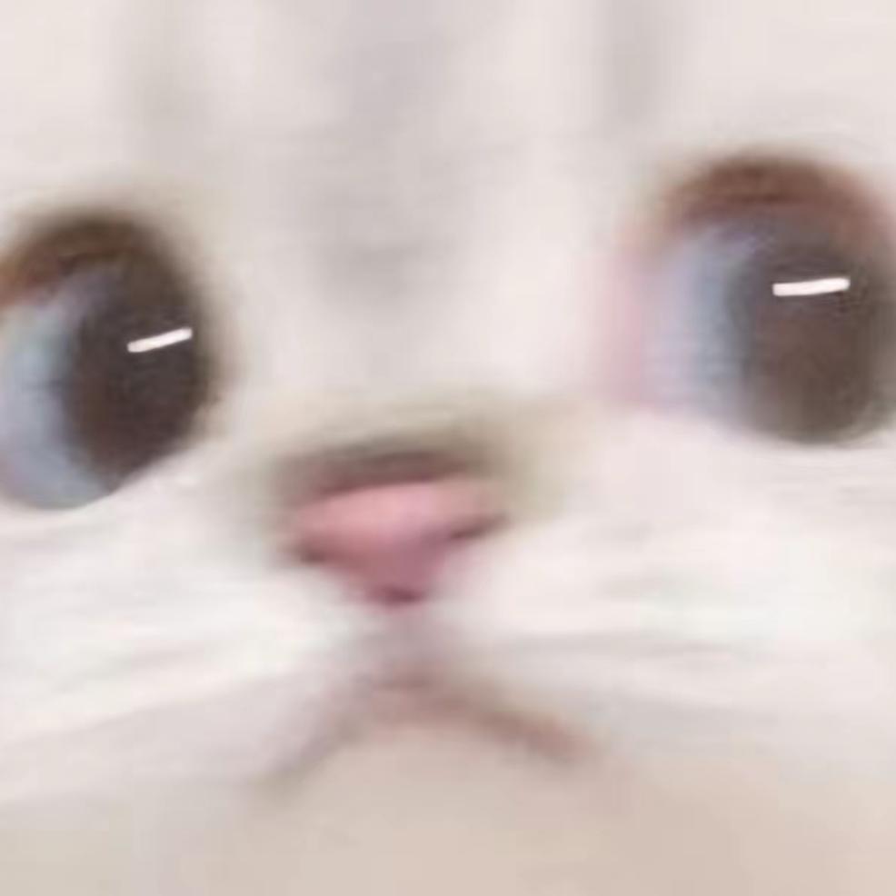 逗弟主
