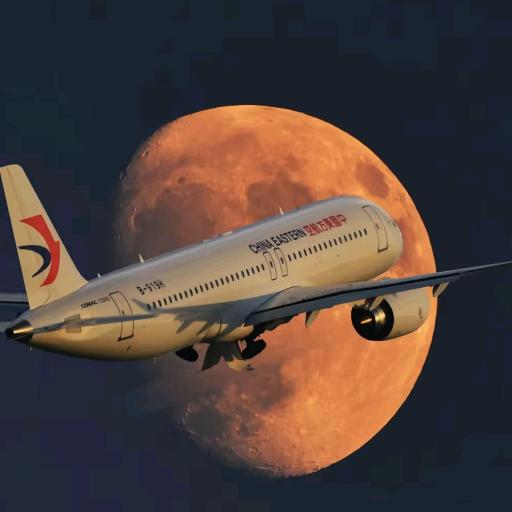 有点小任性✈️