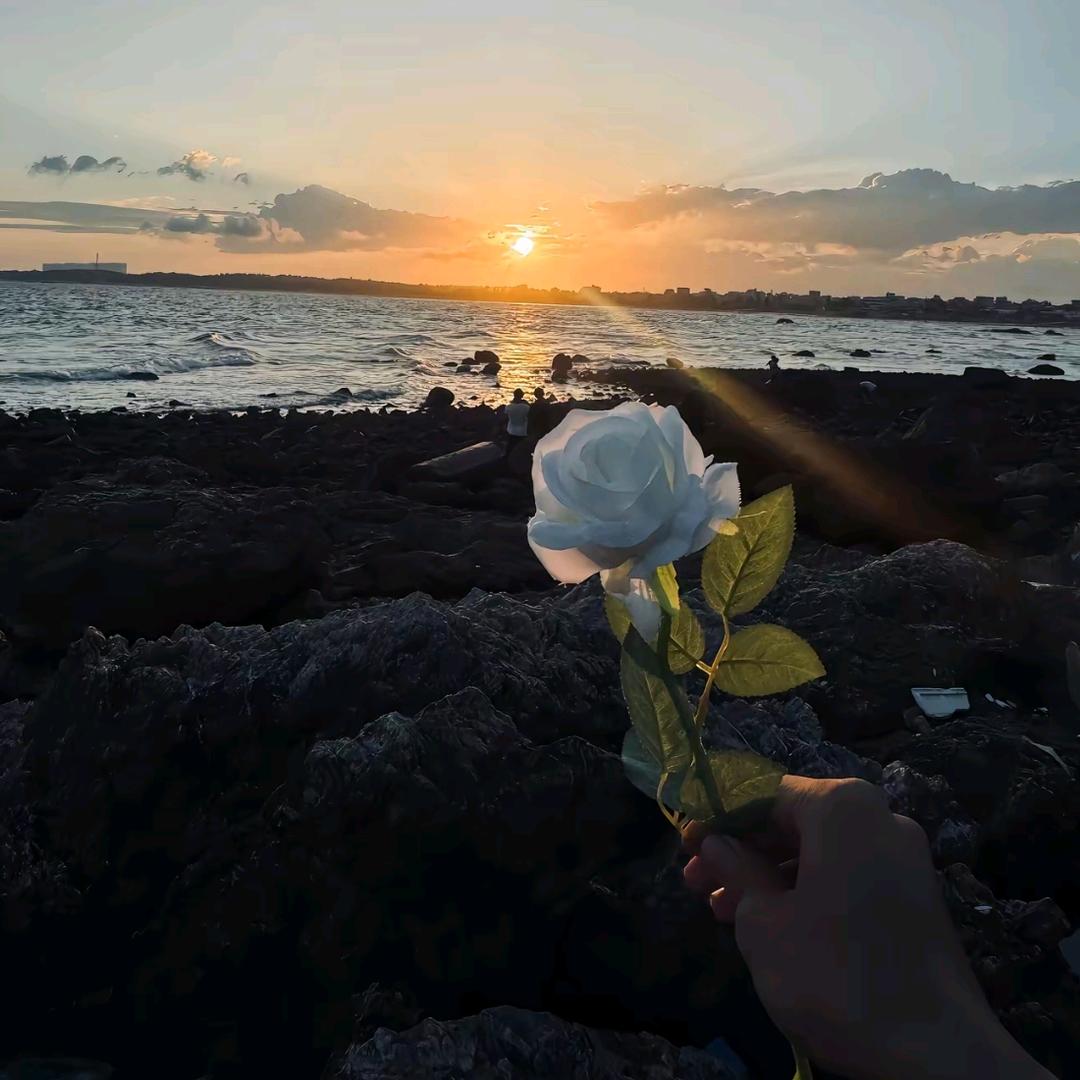 夕阳不落海🌊