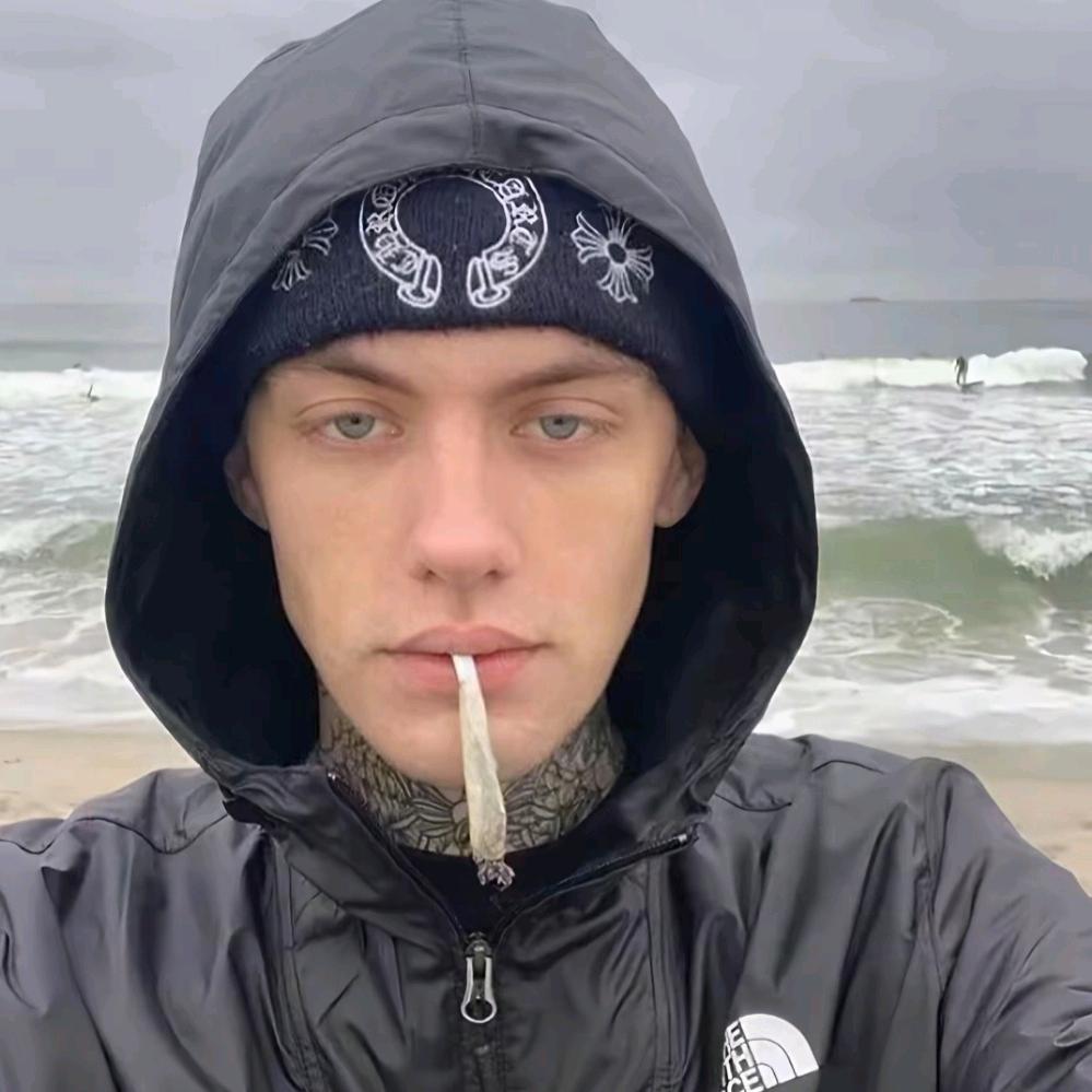 因为太帅被通缉.