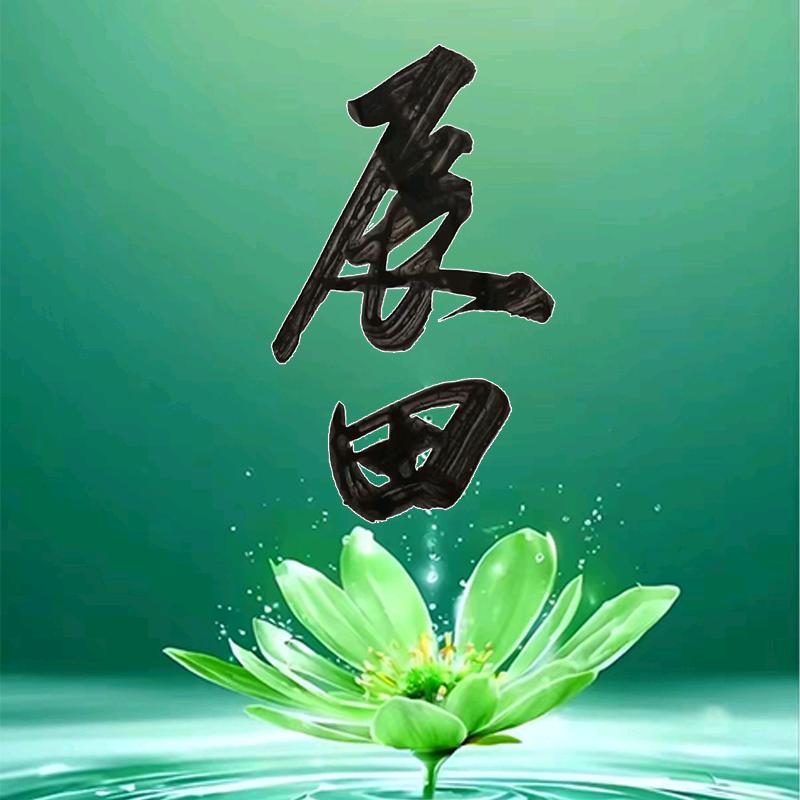 广西辰田文化