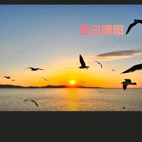 冬日暖阳