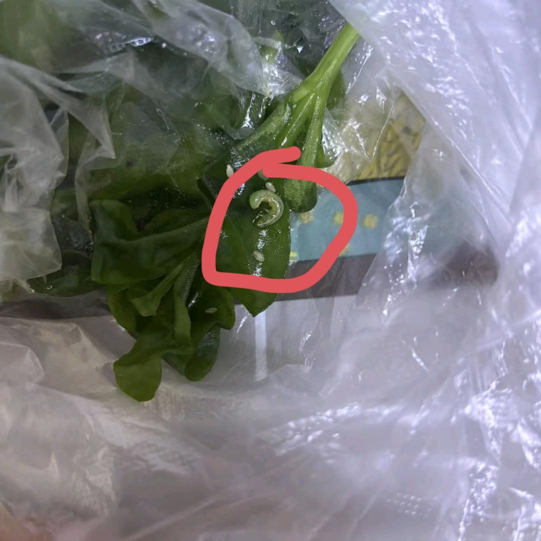 高唐某大型商场熟食区惊现异物