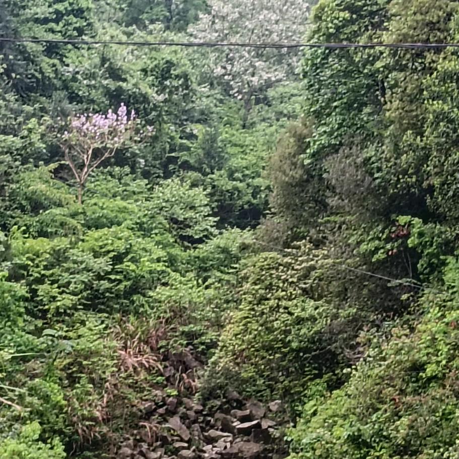 爱上机车的老男孩