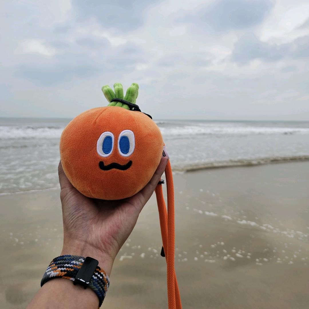 星星今晚伴我眠🥕
