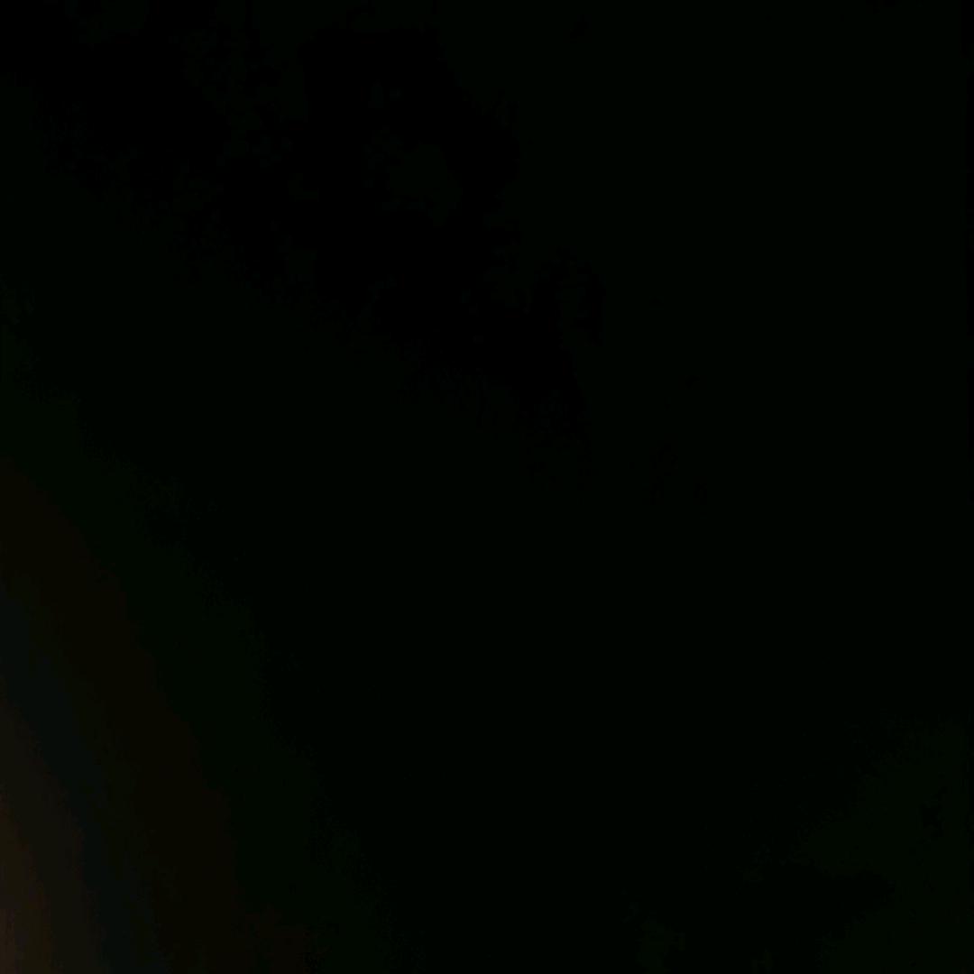 白鹤