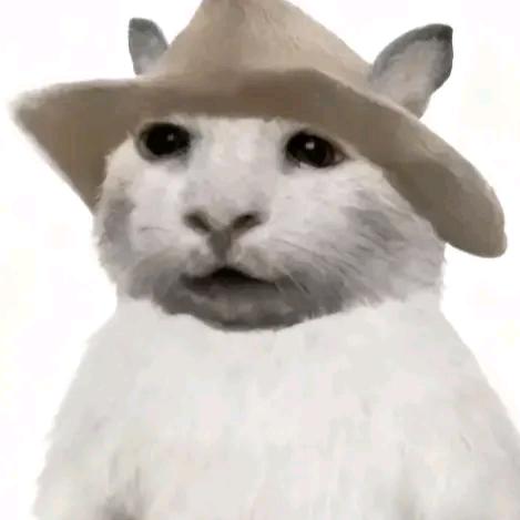胡桃