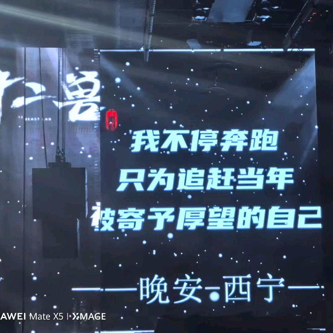 鸡爪小王子（泡椒辣片）