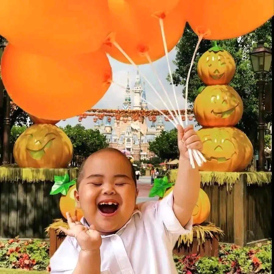 逐风的向日葵🌻