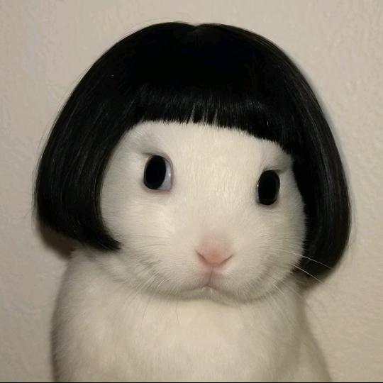 二婚い懂得怎么疼男人