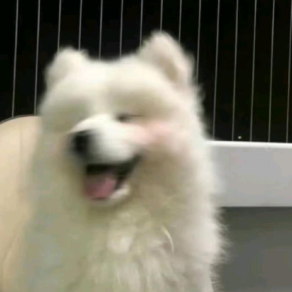 舌毒心不毒❤️