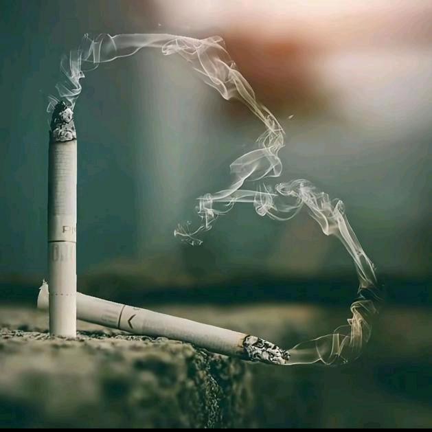 ༺风雨༂赶路人࿐