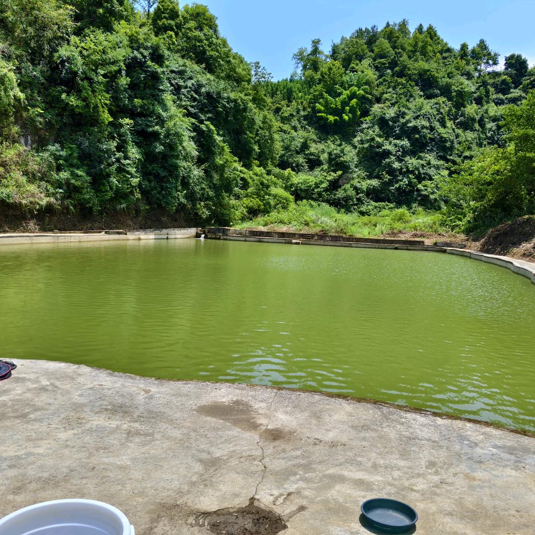 枫香大自然钓场