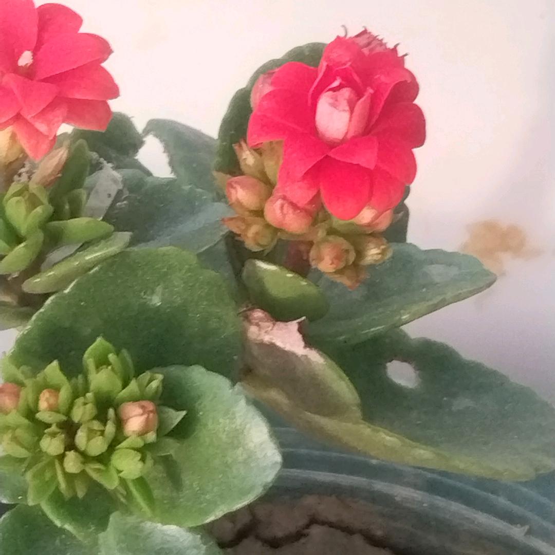 王姐