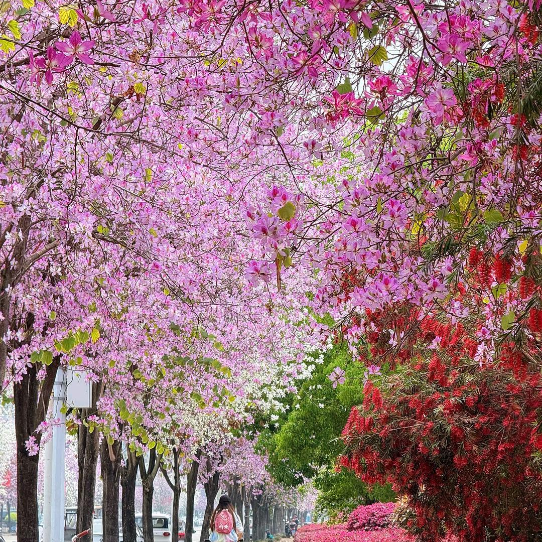 生活不需要解释&