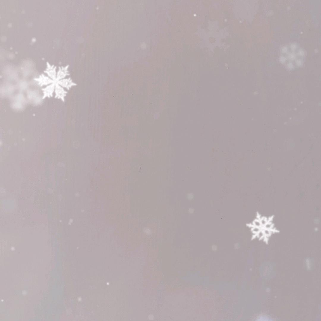 MR兔