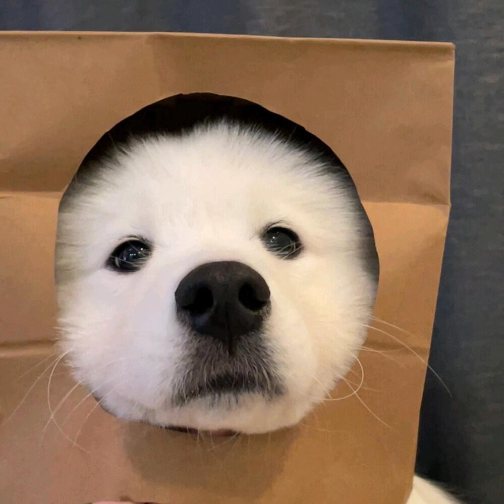 心动