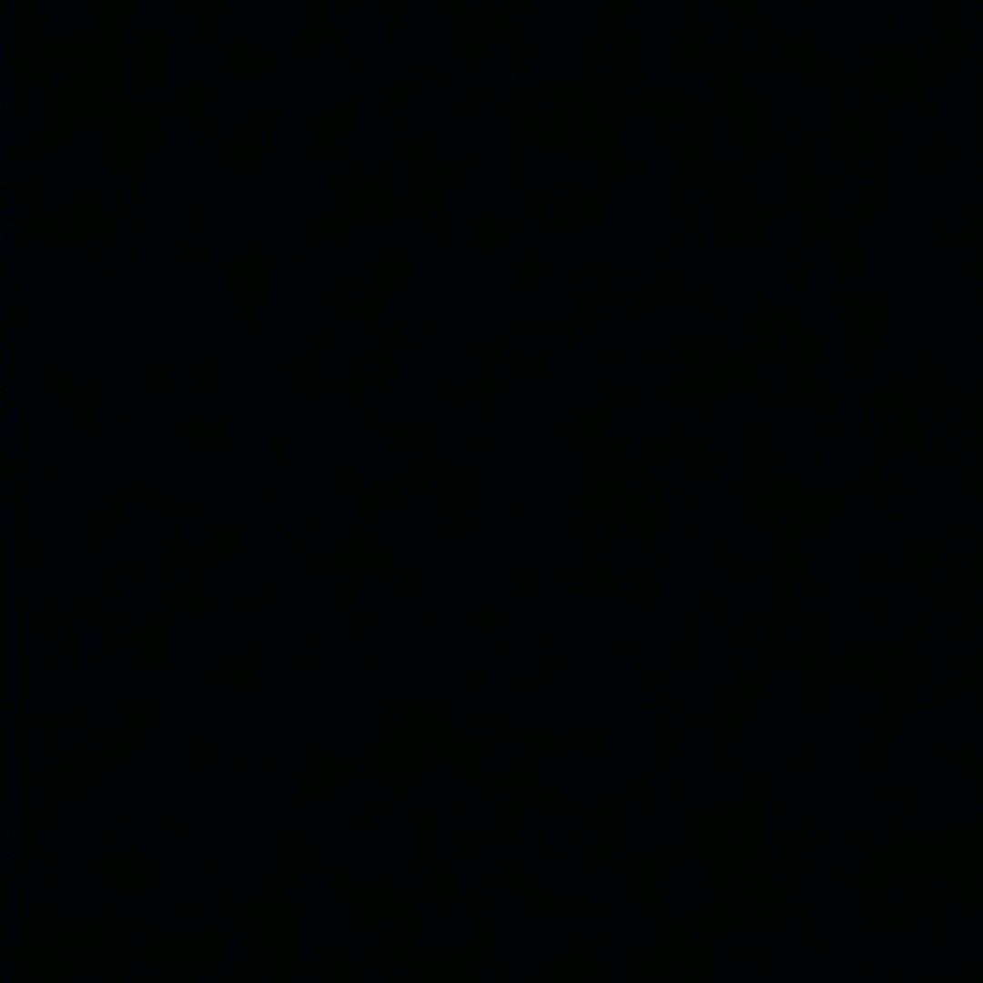 不记了