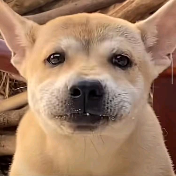 网恋吗