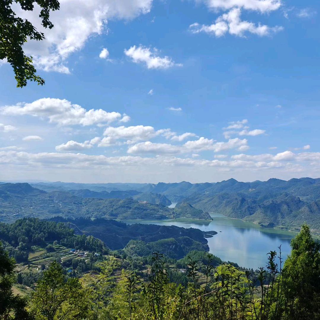 🎋依不染尘