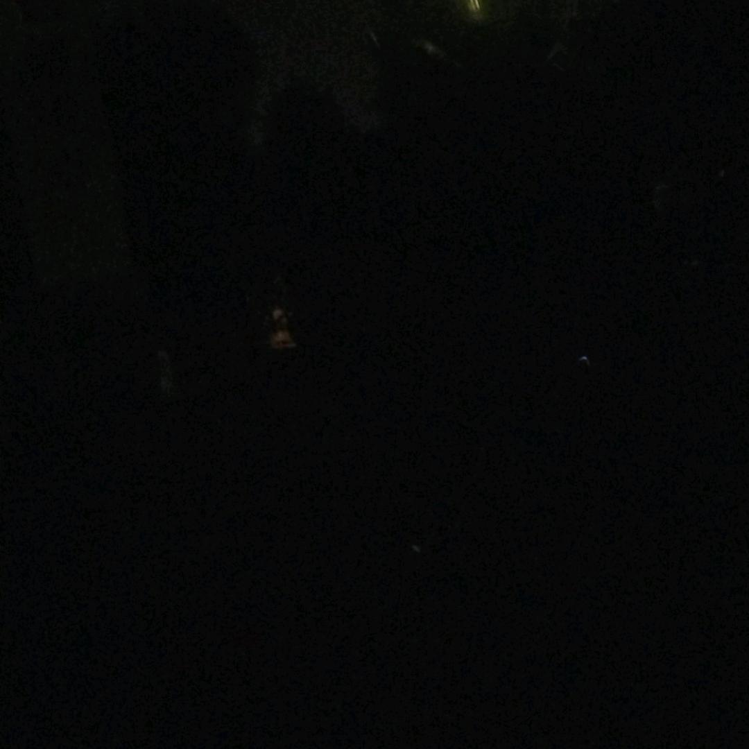 ꧔ꦿ℘㞮᭄ᩚ꯭ᩚ꧔ꦿ孞᭄꧔࿐