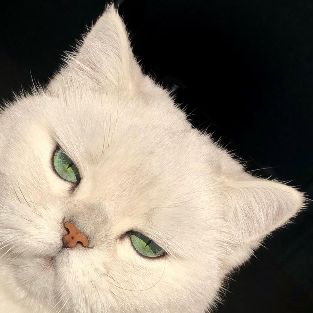 CYY