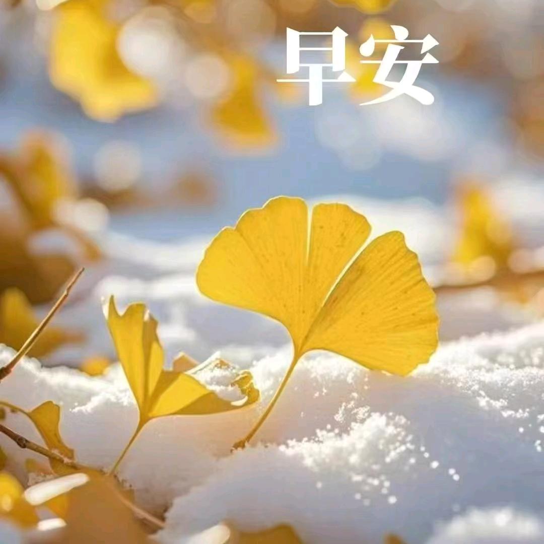 滴滴答