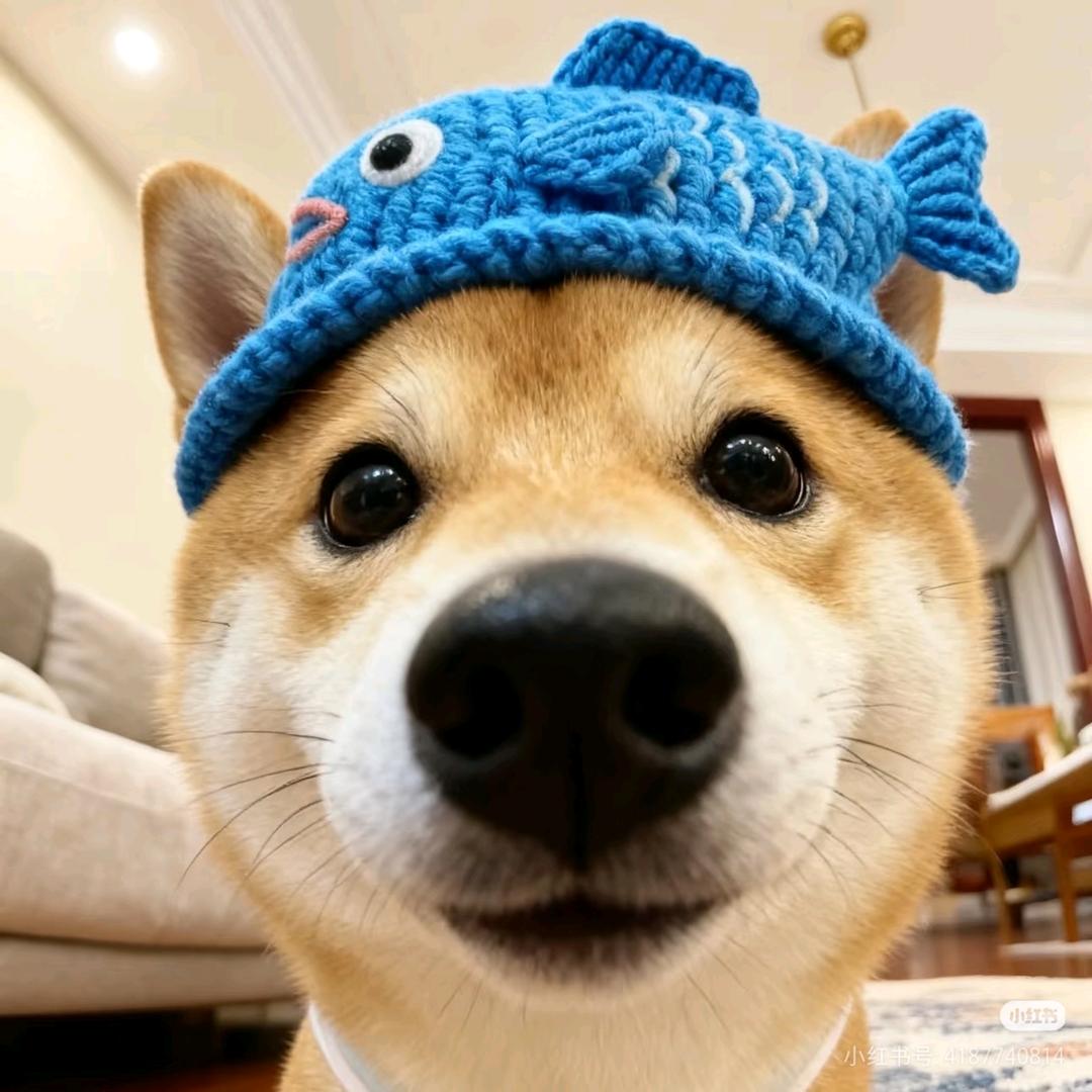 石石石石石石