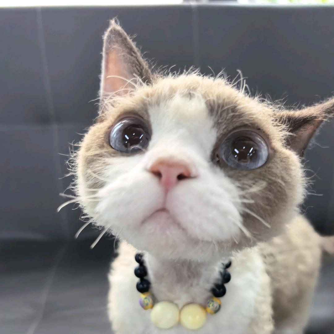 萌珀Manpo