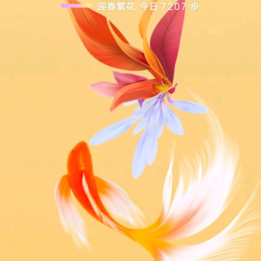 曾经最美