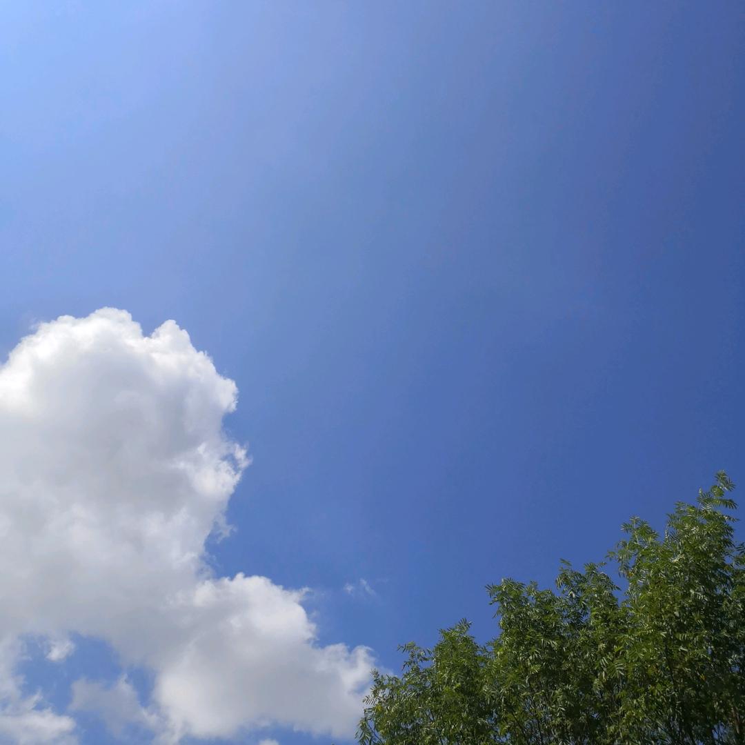 拨开乌云见太阳