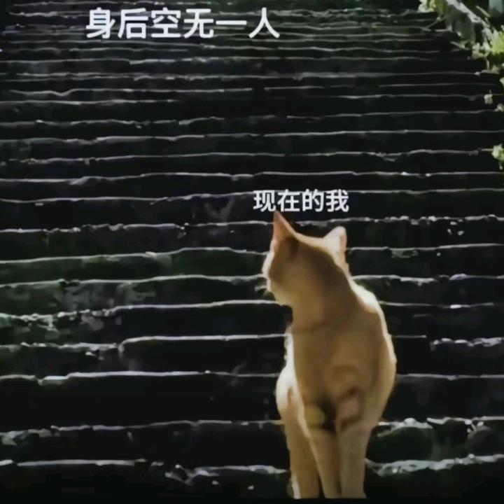 ༺故事的开始༻ᩚ