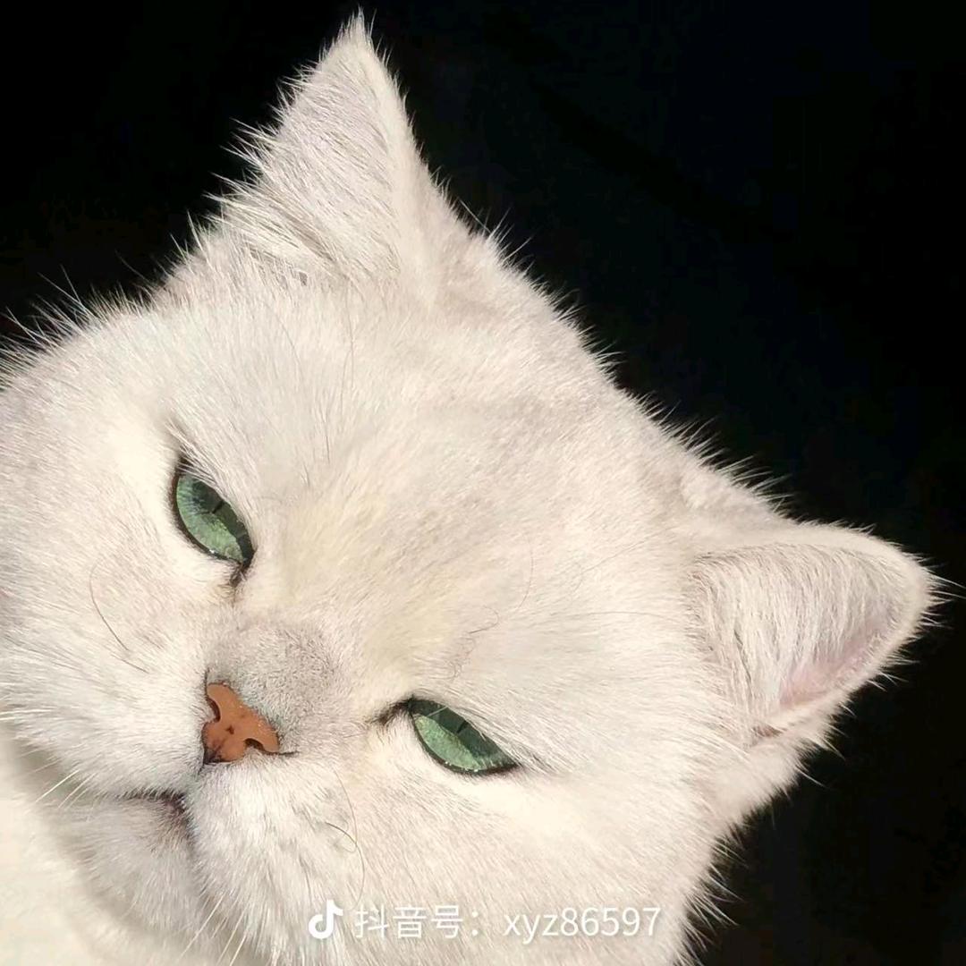hhhhh