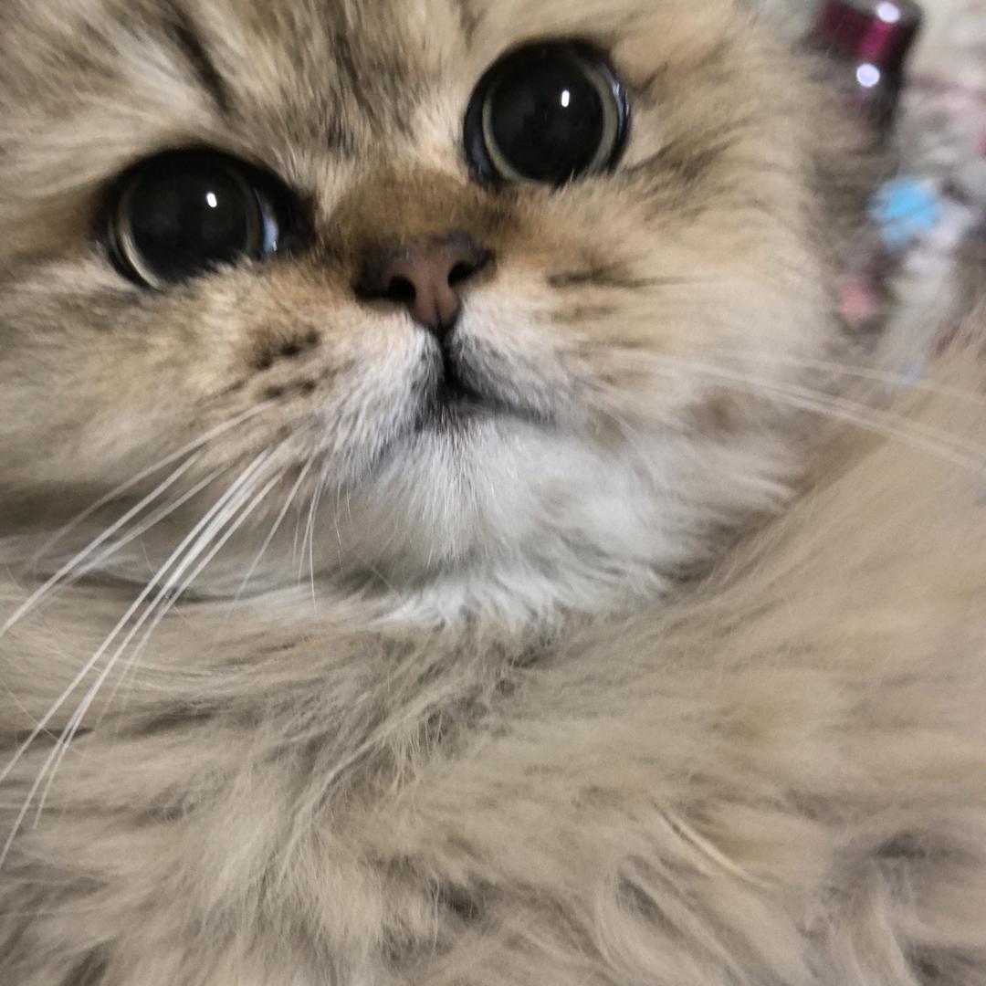 没什么大不了73