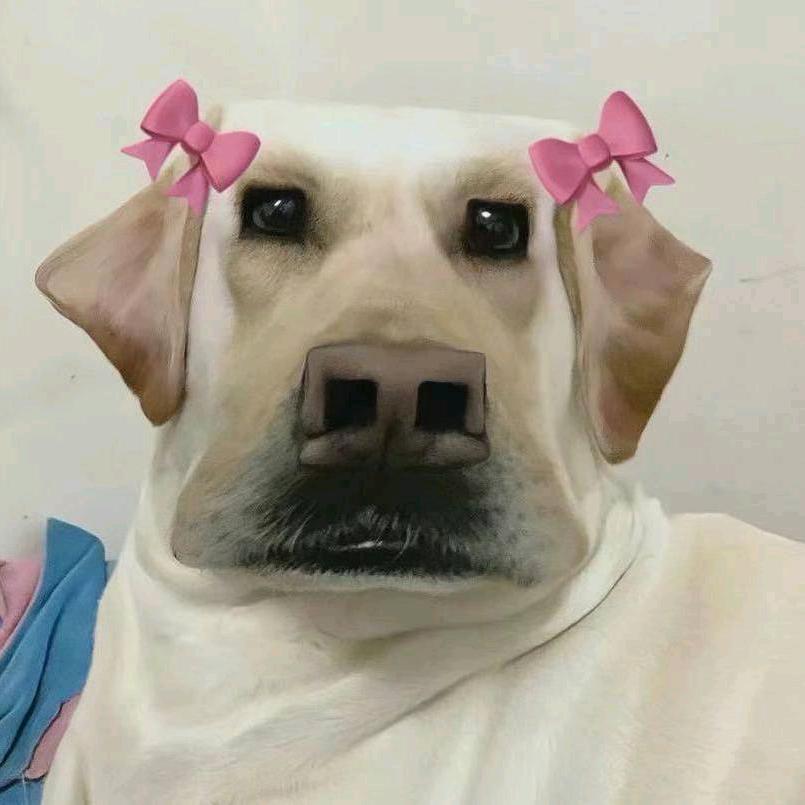 独宠你一个人就够了丫