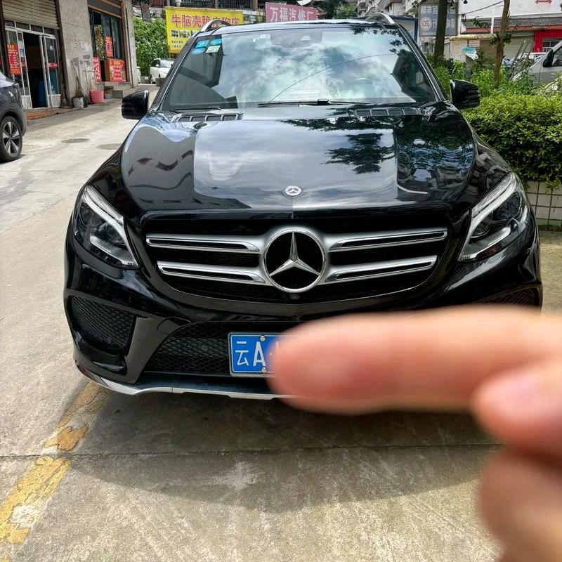 云南胆王1