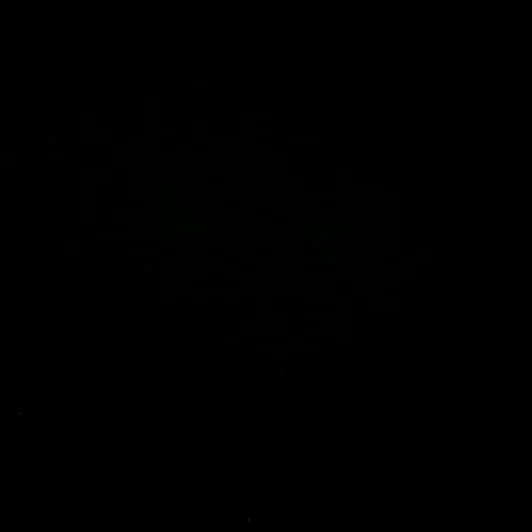 🌸((☀️⥎☀️))🌸