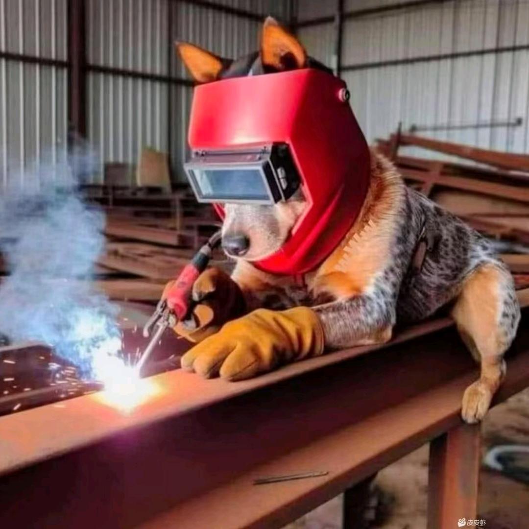 陕西志硕优强装饰工程有限公司