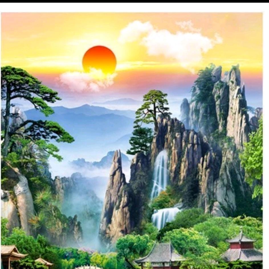 单身贵族