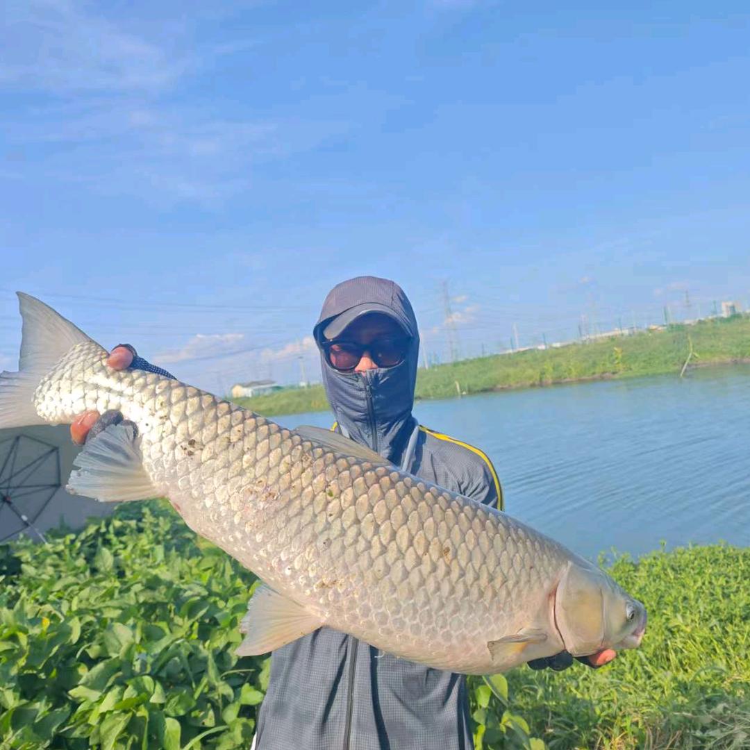 疯狂钓鱼人🎣伟仔