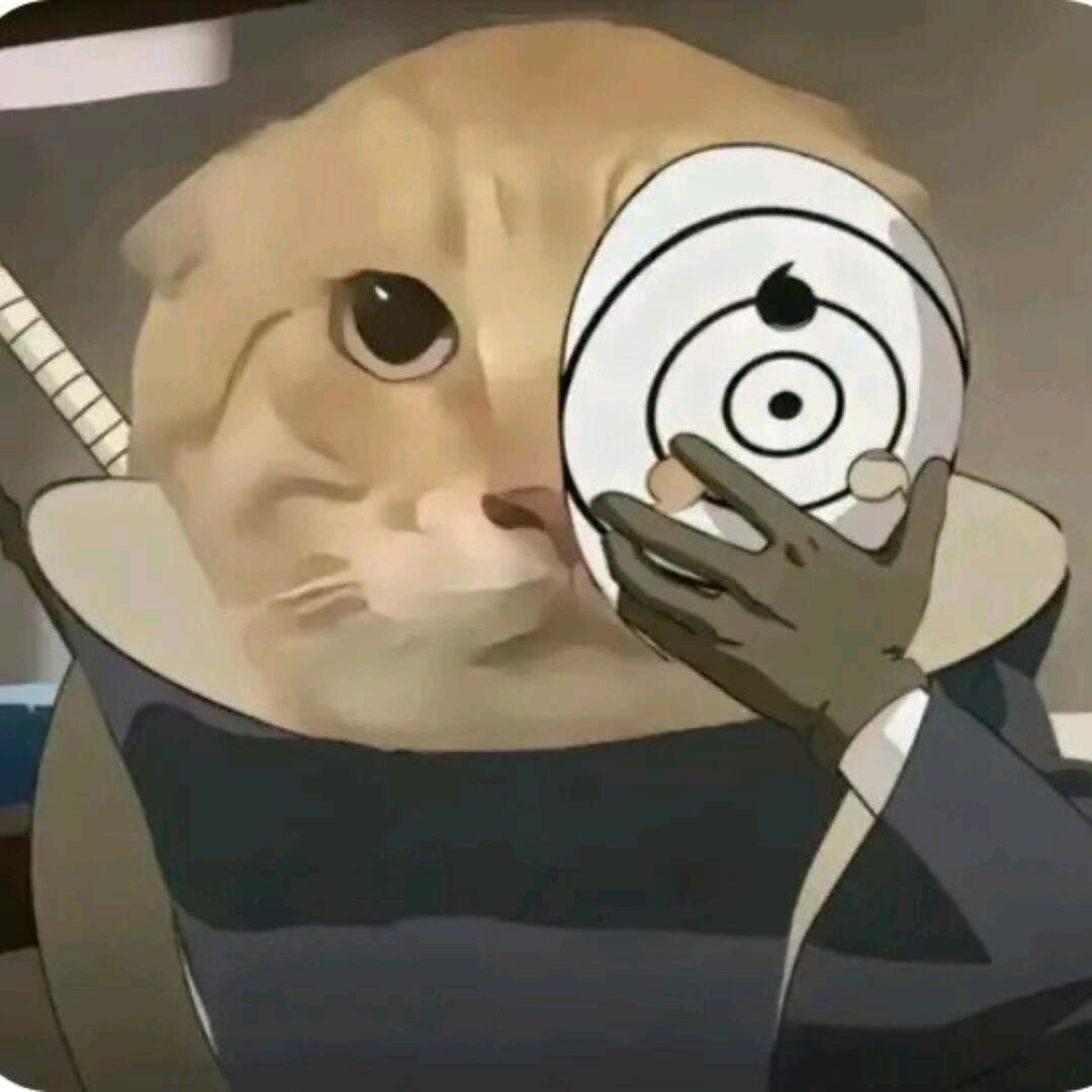 画清语