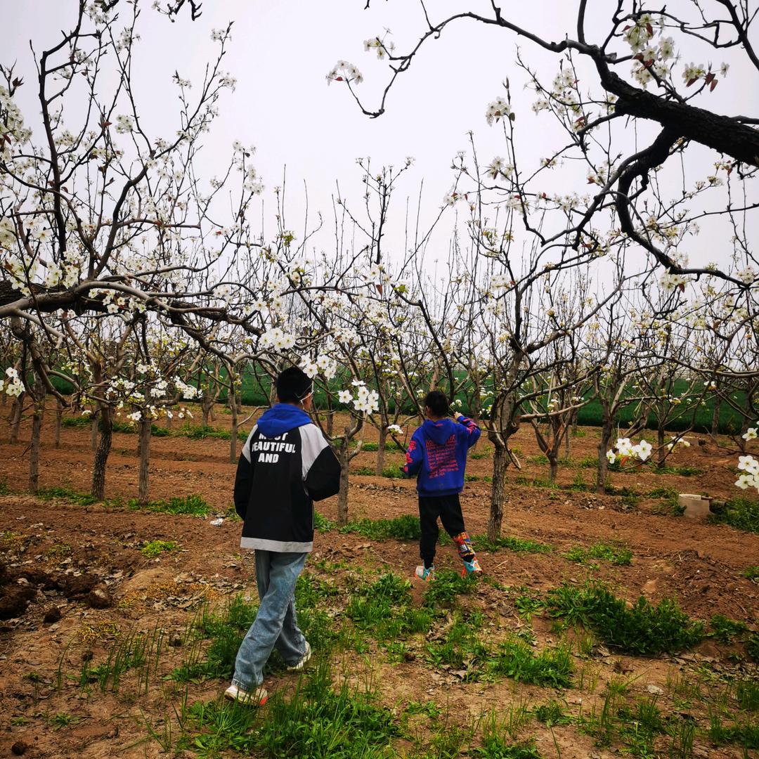 褪色的记忆🍒🍒