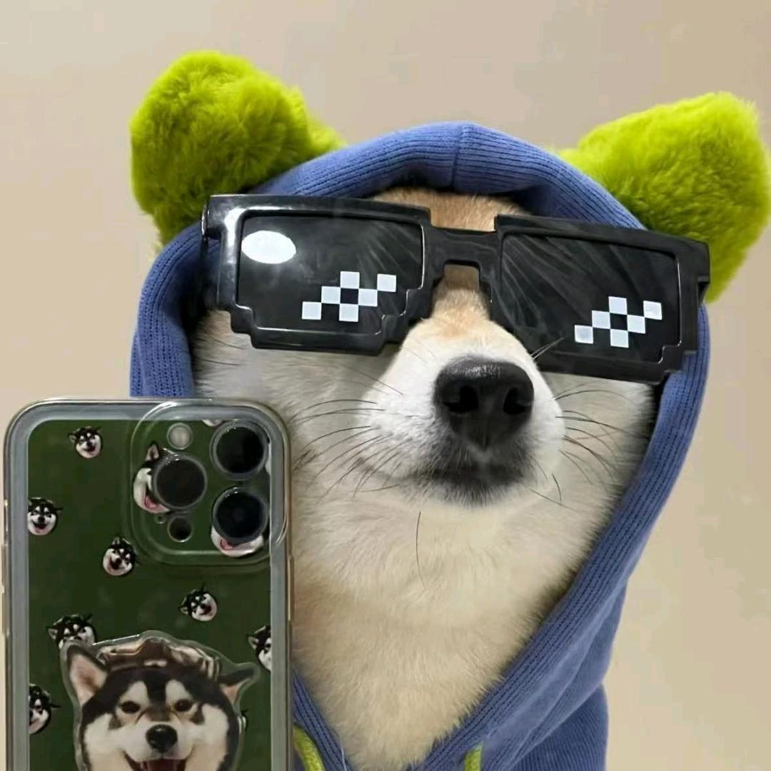 黑色的灰