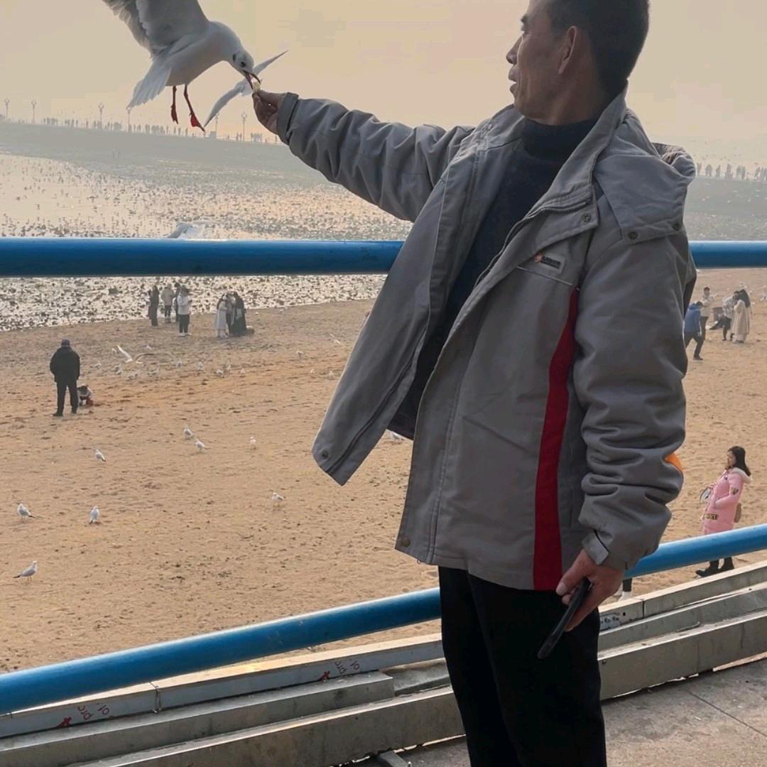用户585111高密东北乡诗词达人