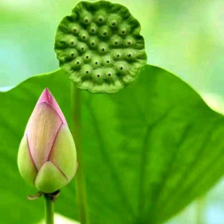 💦开心🌹每一天💦