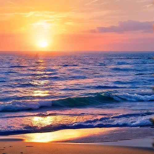 海的秘密