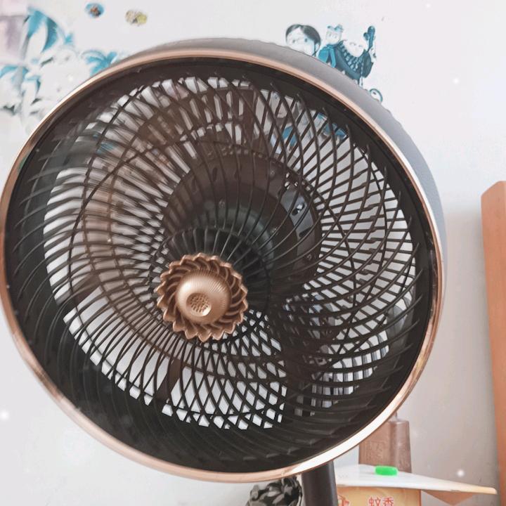 王新红