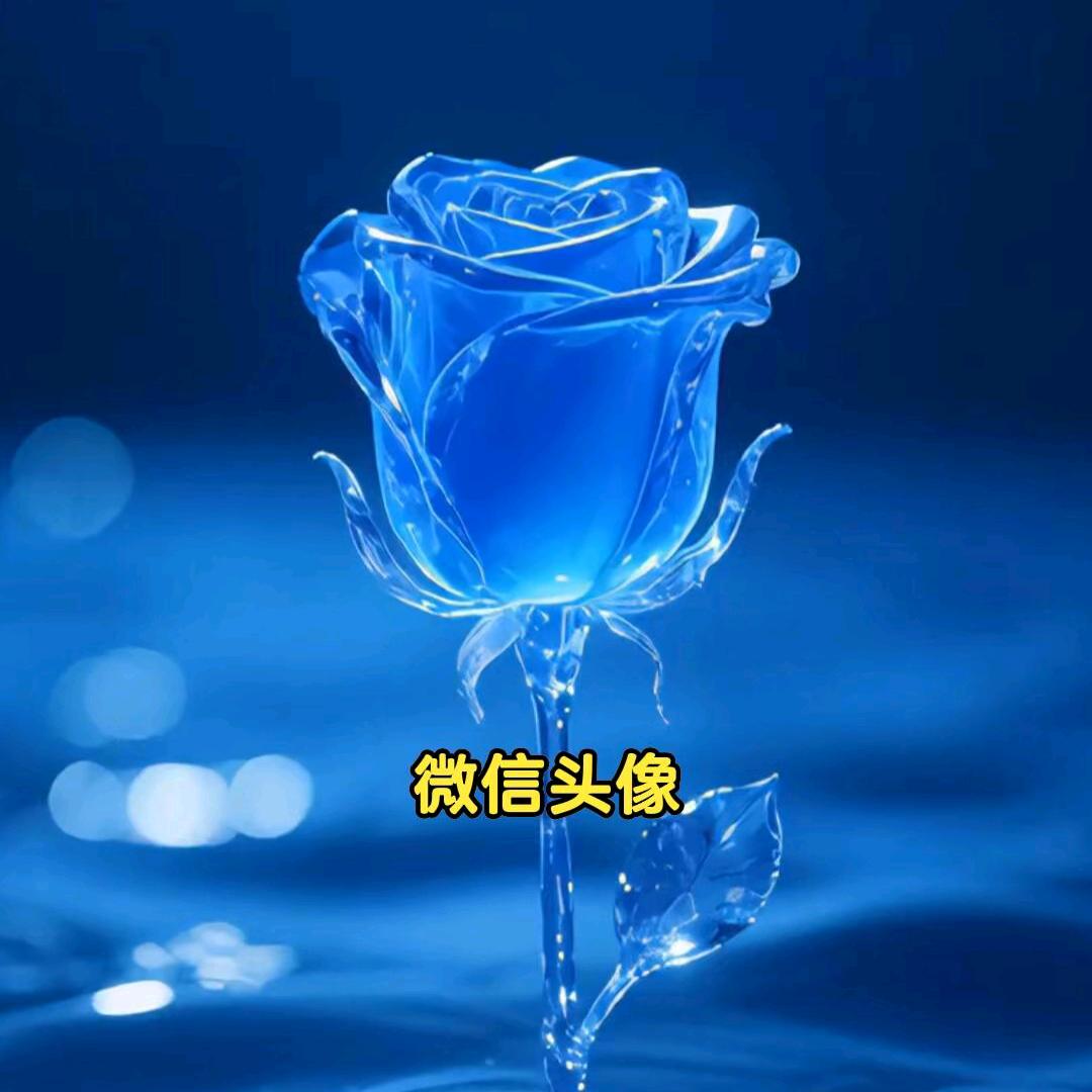樊文花向阳店