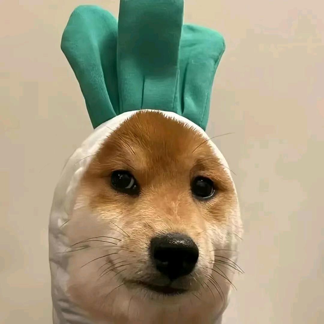灵魂出家人